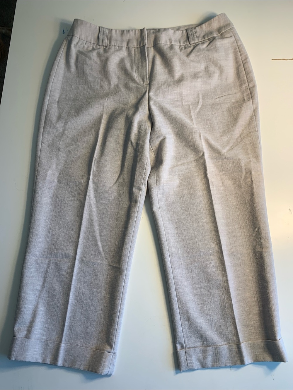 Light Gray Sharagano Size 10 Cropped Dress Pants